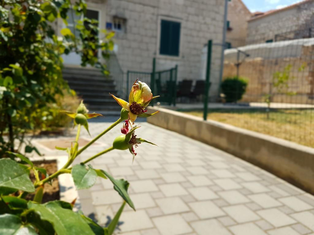 Cetina Appartement