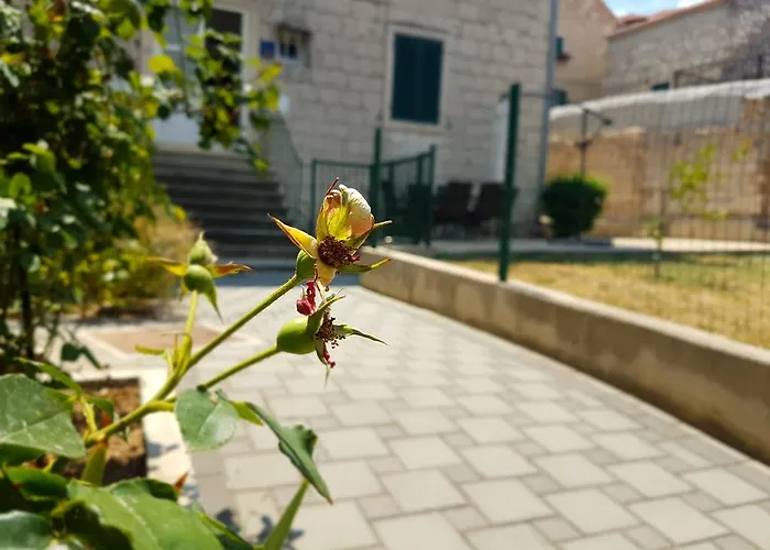 Apartment Cetina